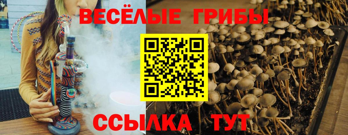 даркнет сайт  Галлюциногенные грибы Psilocybe  Северск  Вход с VPN  Галлюциногенные грибы Cubensis 